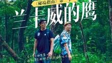 全民主公2平民最强阵容搭配