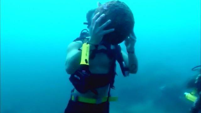 全球电动车转型与二手车贸易报告-52页下载