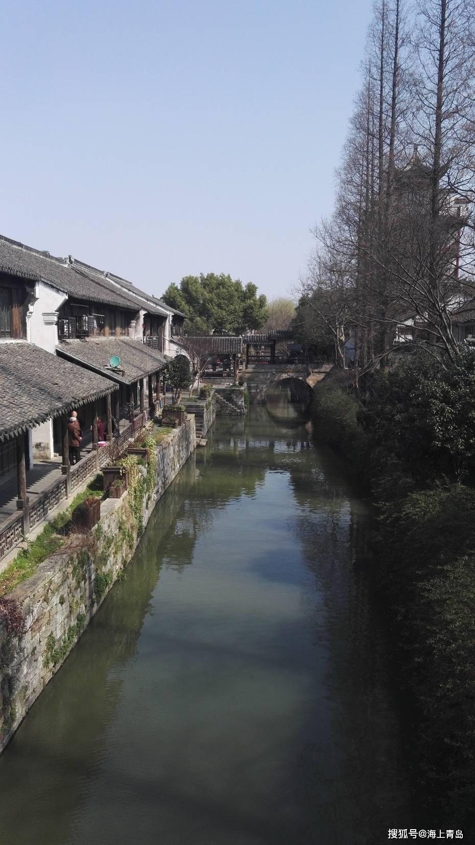 僵尸顶顶乐